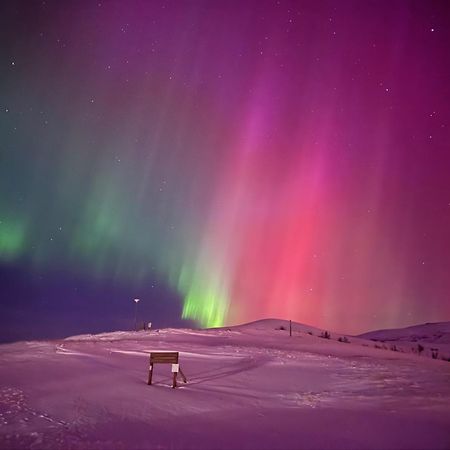 Hlid Cottages Myvatn Bagian luar foto